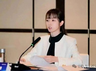 29岁美女A股董事长连任：是实力的闪光，还是背景的倒影？